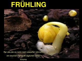 FRÜHLING