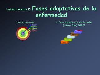 Unidad docente 2: Fases adaptativas de la enfermedad