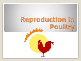 Reproduction in Poultry