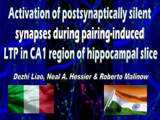 Activation of postsynaptically silent synapses during pairing-induced