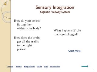 Sensory Integration Gigantic Freeway System