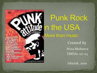 Punk Rock in the USA More than music