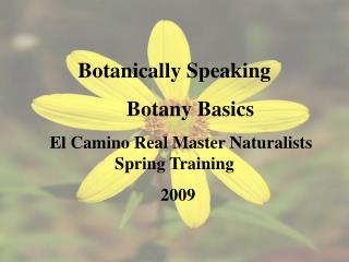 Botanically Speaking Botany Basics El Camino Real Master Naturalists Spring Training