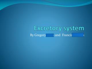 Excretory system