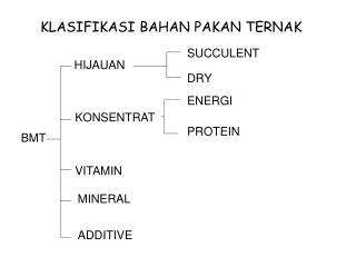 KLASIFIKASI BAHAN PAKAN TERNAK