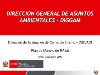 Dirección de Evaluación de Comercio Interno – DIEVACI Plan de Manejo de RAEE Lima, Diciembre 2013