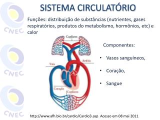 SISTEMA CIRCULATÓRIO