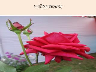 সবাইকে শুভেচ্ছা