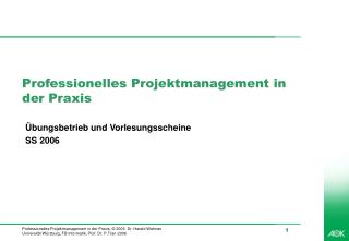 Professionelles Projektmanagement in der Praxis