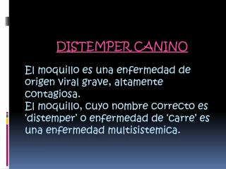 DISTEMPER CANINO