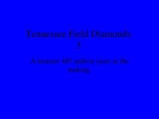 Tennessee Field Diamonds 3