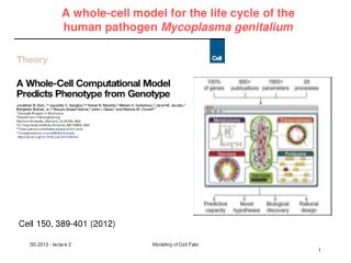 A whole-cell model for the life cycle of the human pathogen Mycoplasma genitalium