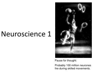 Neuroscience 1