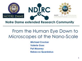 From the Human Eye Down to Microscopes at the Nano-Scale