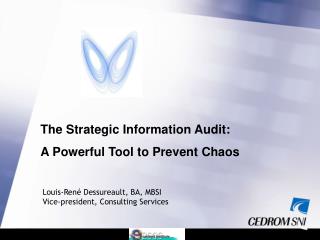 The Strategic Information Audit: A Powerful Tool to Prevent Chaos