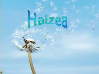 Haizea