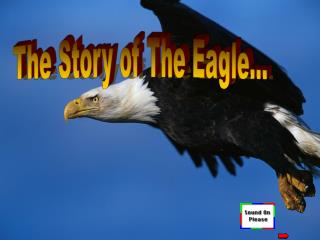 The Story of The Eagle…