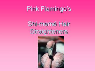 Pink Flamingo’s Shi-mem é Hair Straighteners
