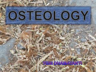 OSTEOLOGY