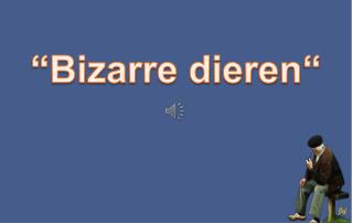 “Bizarre dieren“