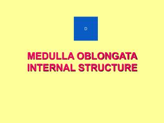 MEDULLA OBLONGATA INTERNAL STRUCTURE