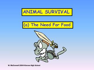 ANIMAL SURVIVAL