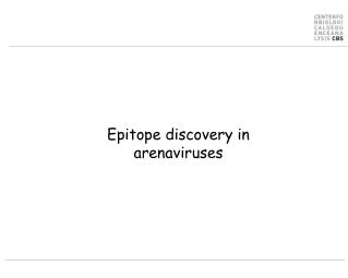 Epitope discovery in arenaviruses