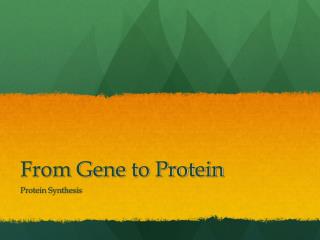 From Gene to Protein