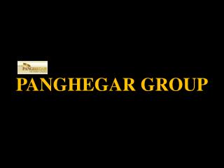 PANGHEGAR GROUP