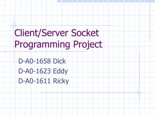 Client/Server Socket Programming Project
