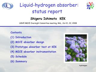 Liquid-hydrogen absorber: