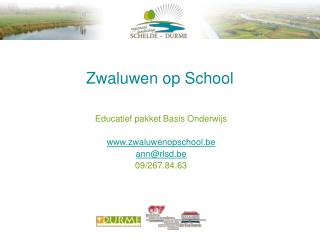 Zwaluwen op School