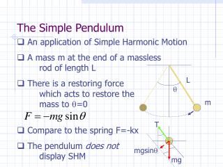 The Simple Pendulum