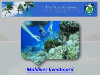 Maldives liveaboard