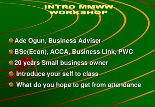 Ade Ogun, Business Adviser BSc(Econ), ACCA, Business Link, PWC 20 years Small business owner