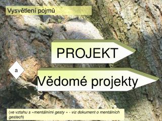 Vysvětlení pojmů