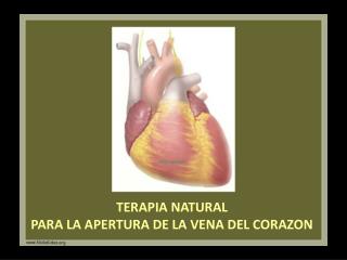 TERAPIA NATURAL PARA LA APERTURA DE LA VENA DEL CORAZON