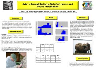 Avian Influenza Infection in Waterfowl Hunters and Wildlife Professionals