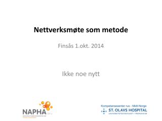 Nettverksmøte som metode Finsås 1.okt. 2014