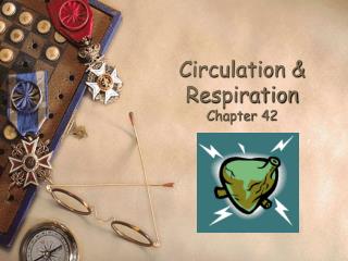 Circulation &amp; Respiration Chapter 42