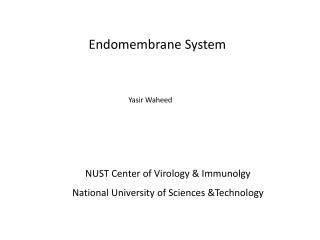 Endomembrane System