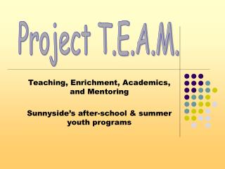 Teaching, Enrichment, Academics, and Mentoring Sunnyside’s after-school &amp; summer youth programs