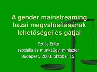 A gender mainstreaming hazai megvalósításának lehetőségei és gátjai