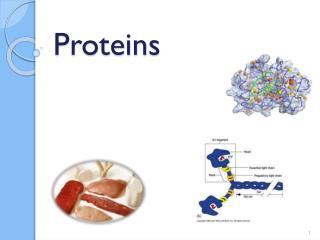 Proteins