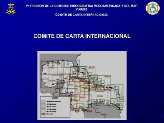 COMITÉ DE CARTA INTERNACIONAL