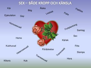 SEX – BÅDE KROPP OCH KÄNSLA