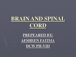 BRAIN AND SPINAL CORD