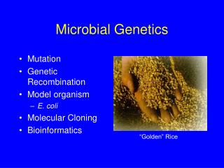 Microbial Genetics