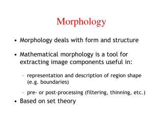 Morphology