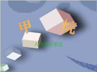 人类的好朋友